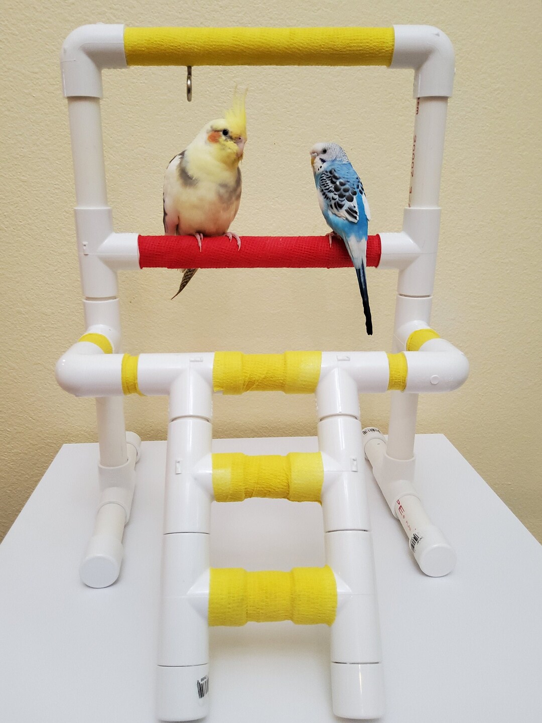 LADDER PLAY GYM for Cockatiels, Lovebirds, Conures, Budgies, Parakeets