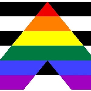 Gay Straight Ally flag, LGBTQ flag, fly with pride and be apart of the movement with this powerful décor