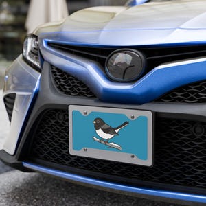 May include: A license plate featuring a cartoon bird perched on a branch with snow, set against a light blue background. The plate is mounted on the front of a blue car.