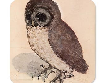 Albrecht Dürer The Little Owl 1508 Cork-back coaster