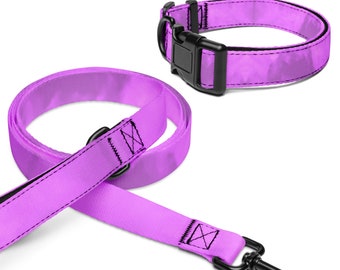 Light Purple Orchid Pet collar & leash