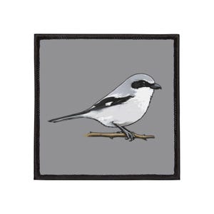 Peut inclure: Un écusson carré avec une illustration détaillée d'un oiseau sur une branche. L'oiseau a des plumes grises et blanches, un masque et un bec noirs. L'écusson a un fond gris et une bordure noire.