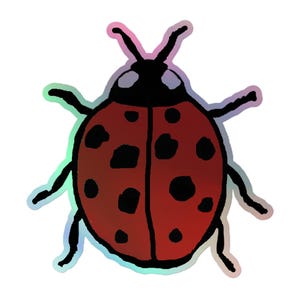 Adesivi olografici coccinella / Adesivi carini e colorati per agende, computer portatili e scrapbooking / Regalo perfetto per bambini e adulti