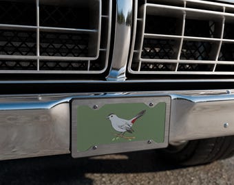 Gray Catbird Vanity license plate