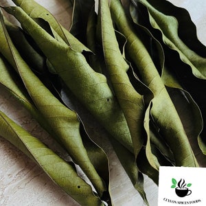Mango leaves Pack, Dried Mango leaf, Natural wonderful tea making