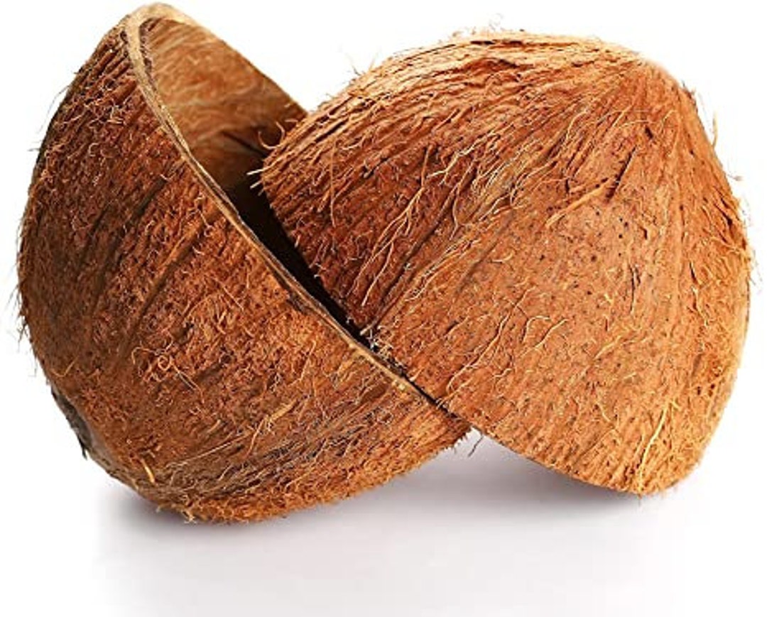 Two Natural Coconut Shell Half, Handmade Ecofriendly Coco Shells