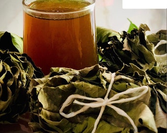 Dried Guava Leaves Natural  Tea Ingredient