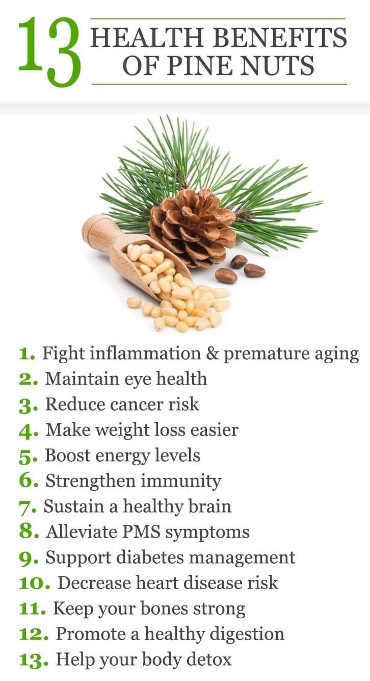 Pine Needles Leaves for Herbs Free Shipping Etsy UK