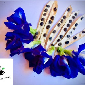 May include: Five open pods of butterfly pea flowers with dark brown seeds inside. The pods are arranged in a fan shape.  Blue butterfly pea flowers are arranged around the pods.  The image has a logo in the bottom left corner that says "Ceylon Spices Foods".