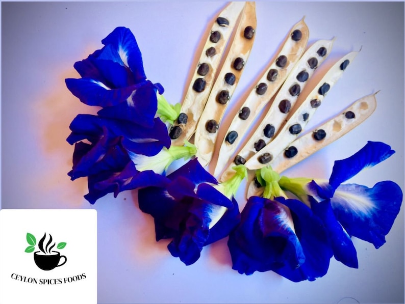 May include: Five open pods of butterfly pea flowers with dark brown seeds inside. The pods are arranged in a fan shape.  Blue butterfly pea flowers are arranged around the pods.  The image has a logo in the bottom left corner that says "Ceylon Spices Foods".