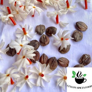100+ Nyctanthes arbor-tristis seeds, Night flowering Jasmin seed pack, Parijat seeds for home gardening, Select the seeds amount