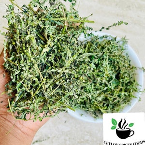 May include: A close-up of a handful of dried green moringa leaves. The leaves are in a white bowl and are ready to be used in cooking or for medicinal purposes.