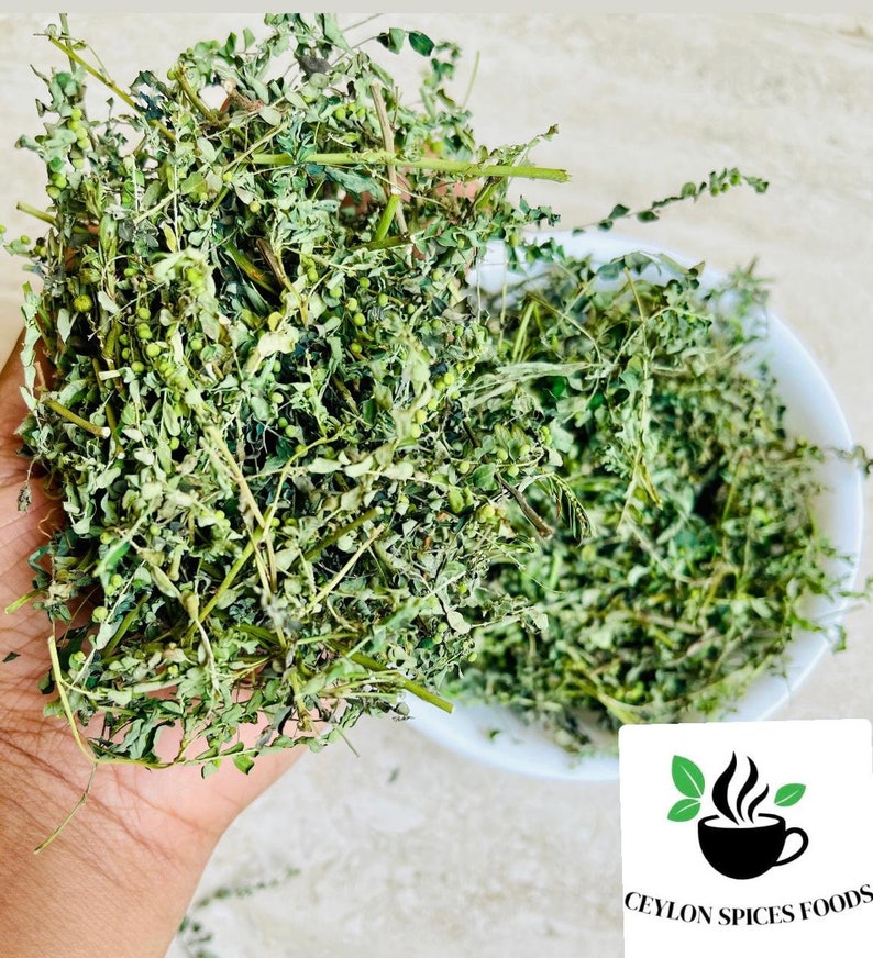 May include: A close-up of a handful of dried green moringa leaves. The leaves are in a white bowl and are ready to be used in cooking or for medicinal purposes.
