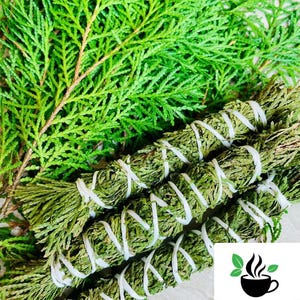 Cedar Smudge Stick 4 inch, Natural Incense for Cleansing and Protection