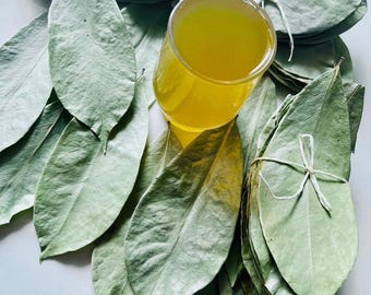 Dried Soursop Leaves, Natural Graviola Tea, Annona Muricata Leaves