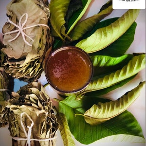 Hojas secas de guayaba para té Psidium guayaba natural