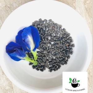 Graines de pois papillon, Clitoria ternatea, ailes de pigeon asiatiques pour le jardinage et la fabrication du thé
