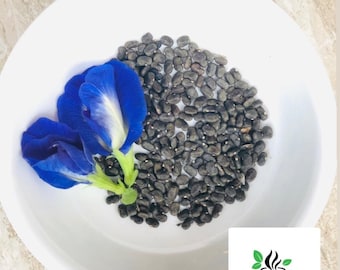 Butterfly Pea seeds, Clitoria Ternatea, Asian pigeonwings for home gardening & Tea making