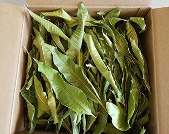 100g Mango Leaves Pack,  herbs leaves for tea lovers!, Dried mango leaves pack