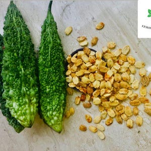 Bitter Melon Seeds, bitter gourd seeds for home gardening, High germination rate Seeds