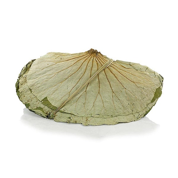 100+ Nelumbo Lotus Leaves Pack,  Dried Complete Lotus Leaves Pack, Select Leaves Amount