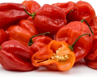 Scotch Bonnet pepper seeds, Seed Packet 10+, Free Shipping