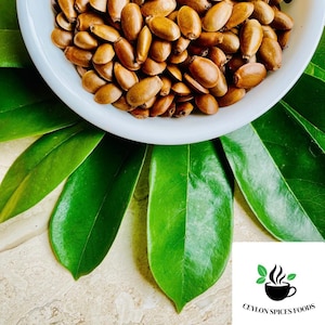 Soursop Seeds for Planting Annona Muricata, Graviola Fruit Harvesting