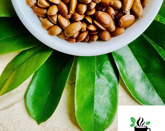 500+ Soursop Seeds for Planting, Annona Muricata seeds for Home gardening, Graviola fruit harvesting, Select the amount