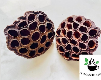 Natural Dried Lotus Pods Aquarium & Craft Decor