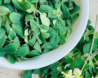 Gedroogde Moringa Oleifera-bladeren en poeder (10 oz+)