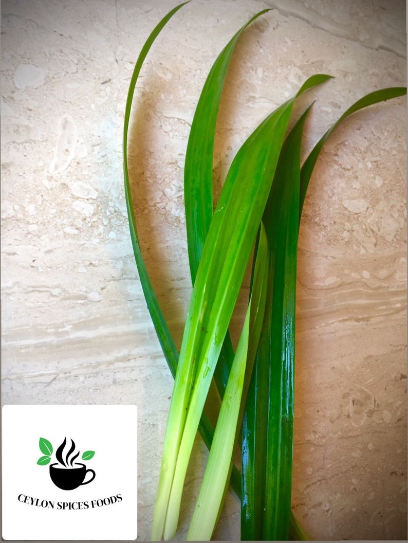 May include: A cluster of long, slender, vibrant green pandan leaves with smooth, pointed tips and a glossy texture. A white square logo in the corner features a black steaming cup icon with two green leaves and the text CEYLON SPICES FOODS.