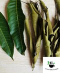 Dried Mango Leaves Natural Tea Making product logo