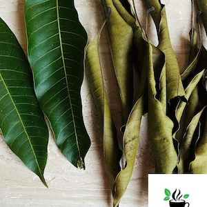 Mango leaves Pack, Dried Mango leaf, Natural wonderful tea making