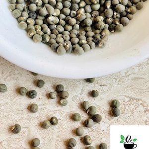 Okra seeds, gumbo seeds pack, Abelmoschus esculentus ,ladies fingers for home gardening