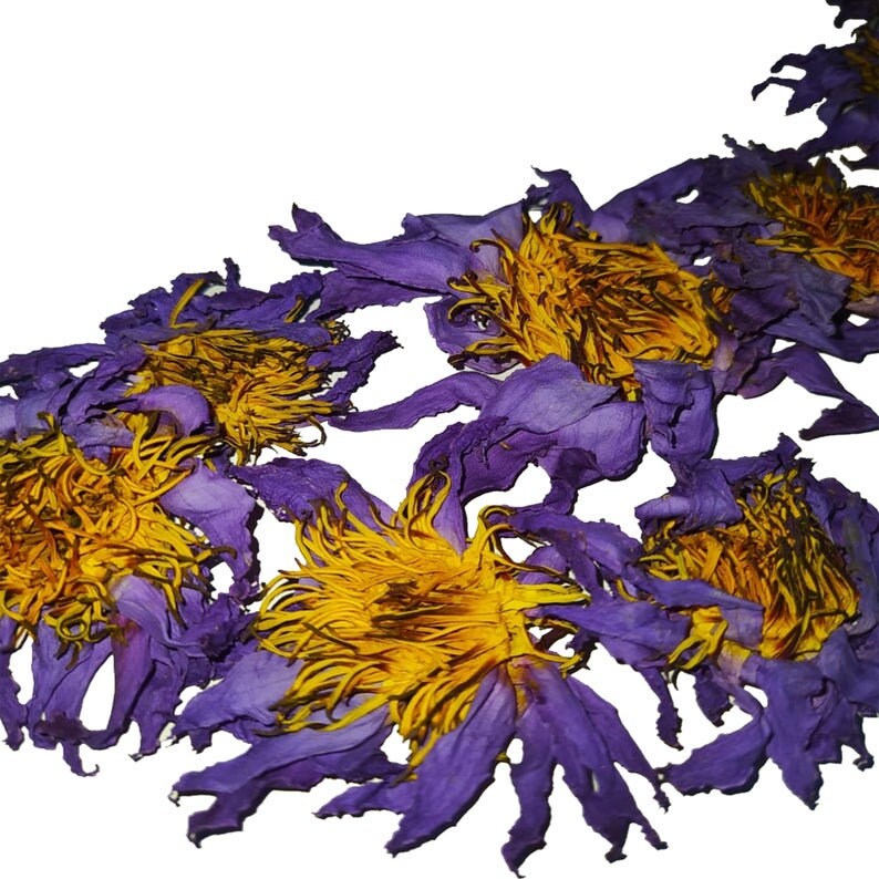 Blue Lotus Flower, Tea, Nymphaea Caerulea, 100 Dried & Natural Herbs