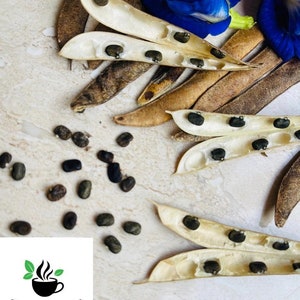 May include: Close-up of butterfly pea flower pods, open to reveal black seeds. The pods are light brown and white, with a light beige background. The flower is blue and purple.