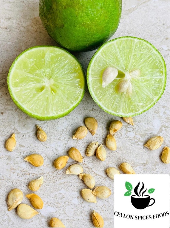 Key Lime Seeds Rare Citrus Seeds for Home Gardening