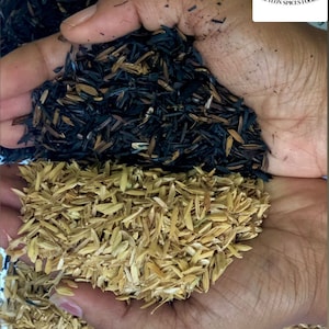 Peut inclure: Deux mains tenant différents types de balles de riz. La main du haut tient des balles de riz noires, tandis que la main du bas tient des balles de riz dorées.