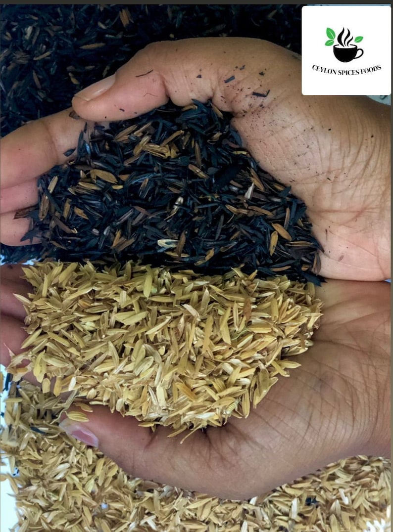 May include: Two hands holding different types of rice husks. The top hand holds black rice husks, while the bottom hand holds golden rice husks.