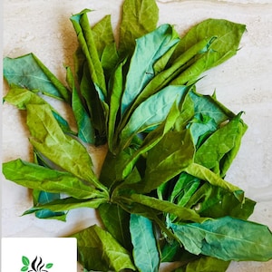 Cassava leaves, Pure Dried Yuca leaf , Home Grown Manioc Leaves