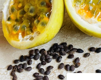 Yellow Passion Fruit Seeds for home gardening