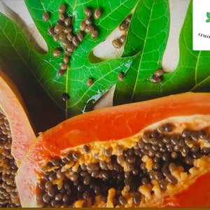 May include: A halved papaya with bright orange flesh and many black seeds. Green papaya leaves and scattered seeds are also visible. The image is well-lit, highlighting the fruit's texture and colour. The Ceylon Spices Foods logo is in the top right.
