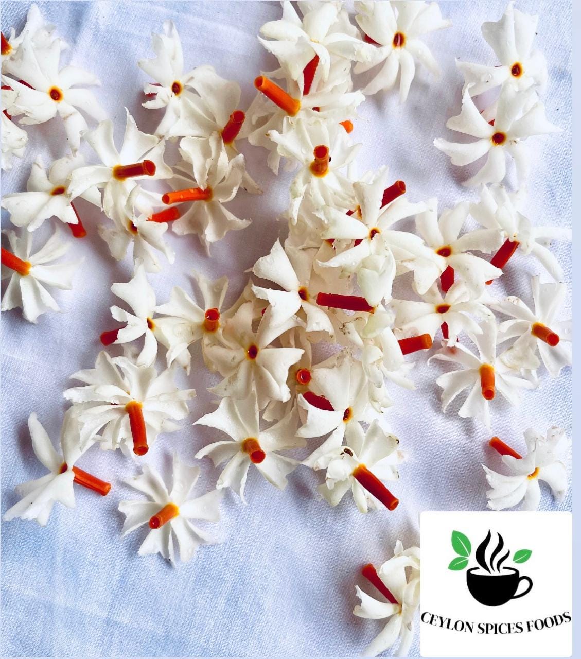 Nyctanthes Arbor-Tristis Seeds Night Flowering Jasmin, Parijat Seeds