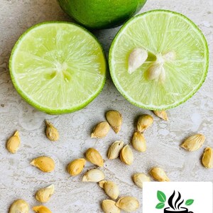 May include: A close-up of a lime cut in half, revealing the seeds inside. The lime is green and the seeds are light brown. There are several lime seeds scattered on the surface.