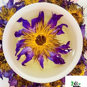 Blue lotus flowers, Nymphaea caerulea flower, Dehydrated blue lotus for tea Lovers!