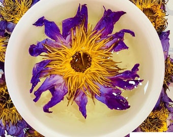 Dehydrated Blue Lotus Flowers Nymphaea Caerulea for Tea