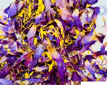 Dehydrated Blue Lotus Petals Nymphaea Caerulea Flower for Tea