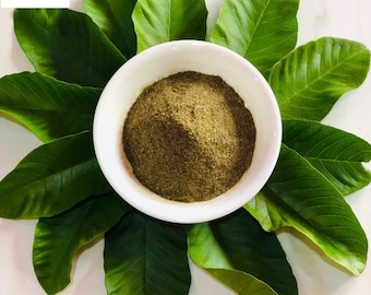 Natural Guava Leaves Powder for Tea