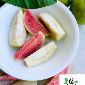 May include: A white bowl filled with sliced pink guava fruit. The bowl is on a table with a green leaf and whole guava fruit.