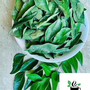 Pure Curry leaves, Murraya Koenigii Leaves, Natural Dried Curry Leaves for Cooking
